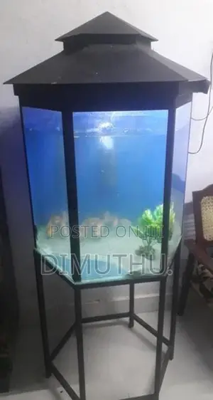 Fish Tank With Stand.