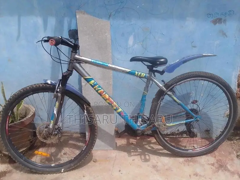 Bicycle