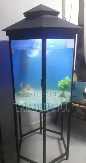 Fish Tank With Stand.
