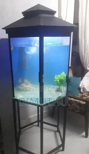 Fish Tank With Stand.