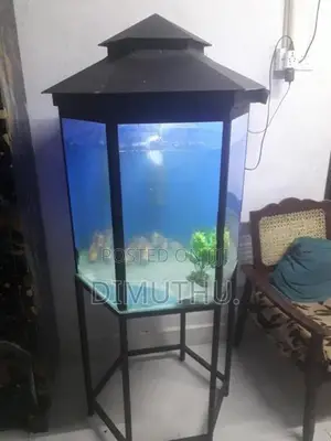 Fish Tank With Stand.