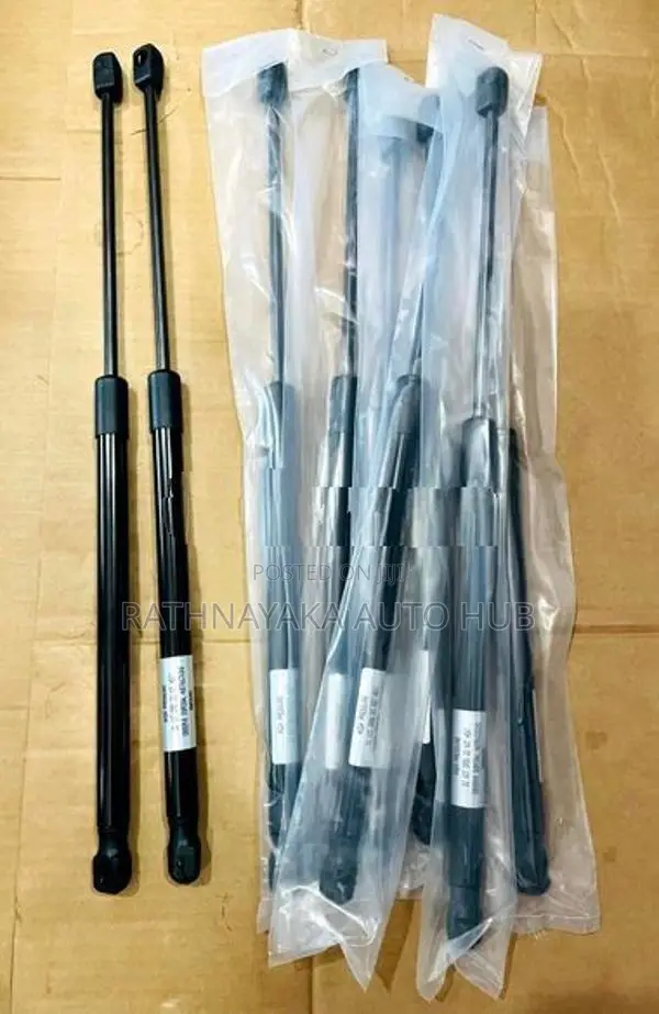 Toyota CHR Dicky Shock