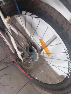 Lumstar Bicycle