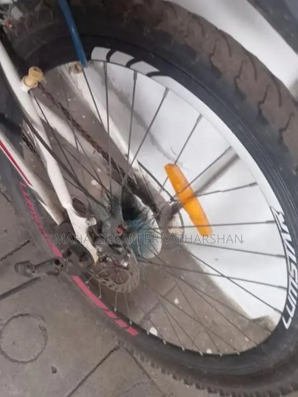 Lumstar Bicycle