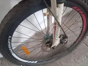 Lumstar Bicycle