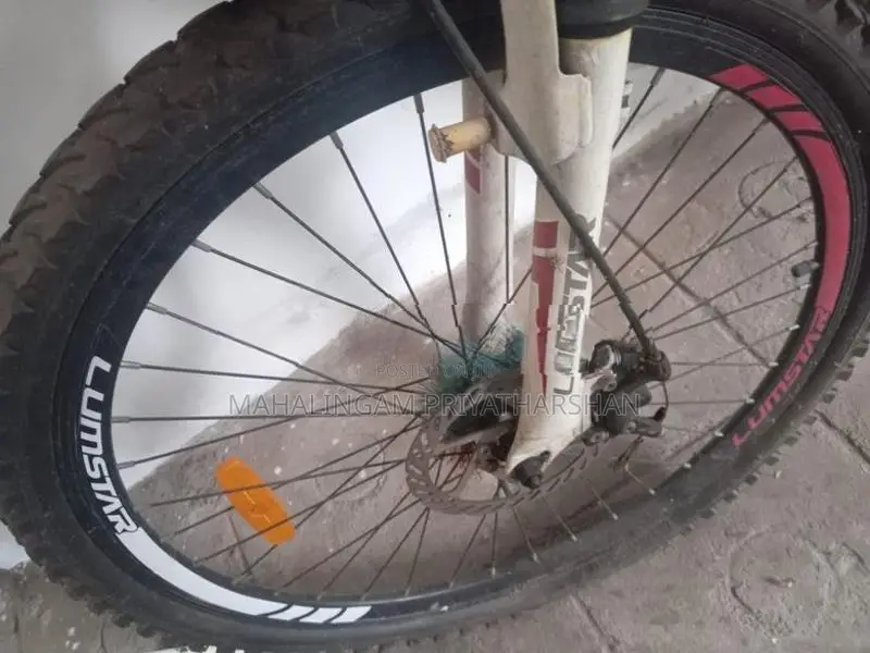 Lumstar Bicycle