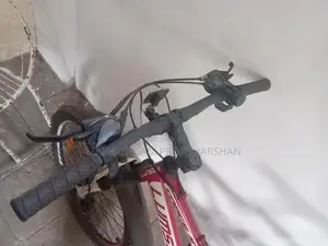 Lumstar Bicycle