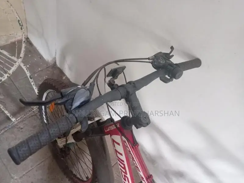Lumstar Bicycle