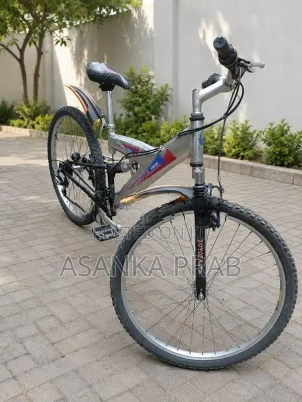 Mountain Bicycle