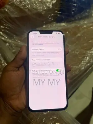 Apple iPhone 13 Pro Max (Used)