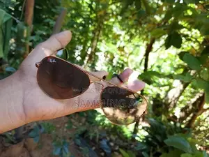 Ray band sun glass