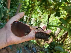 Ray band sun glass