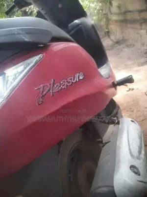Hero Pleasure 2015
