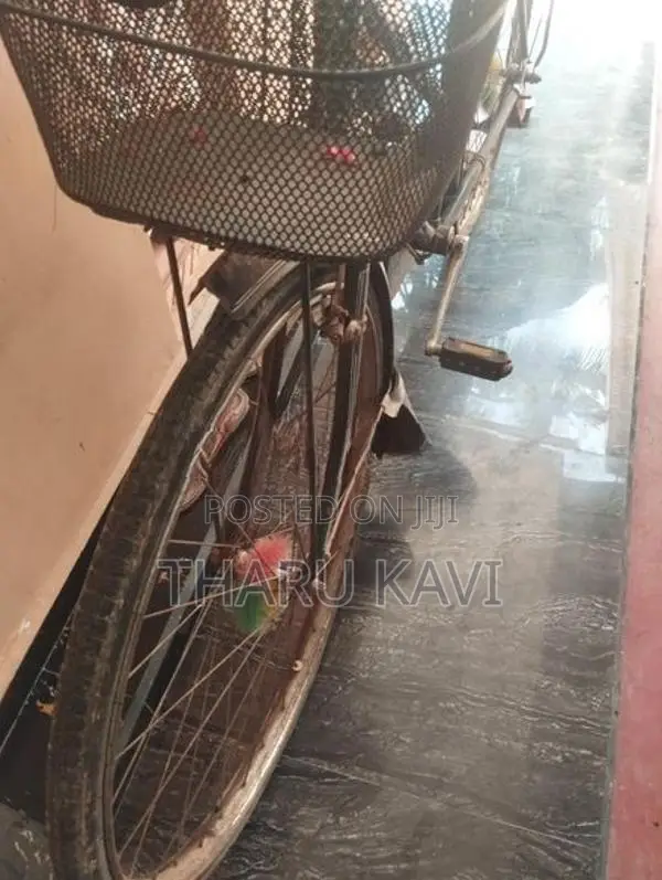 Bicycle