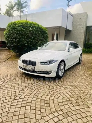 BMW 520d 2013