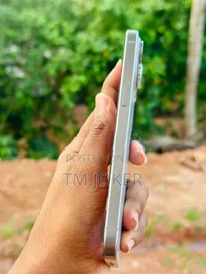 Apple iPhone 15 Pro Max (Used)
