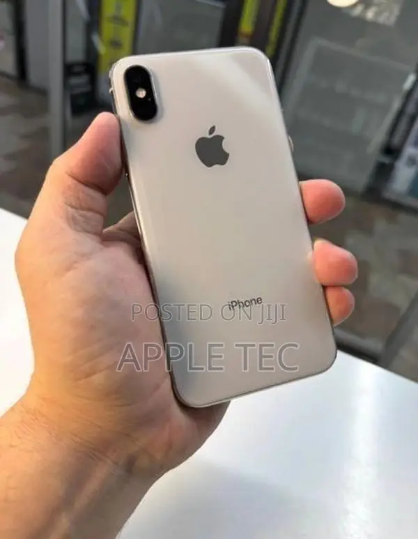 Apple iPhone X 256GB (Used)
