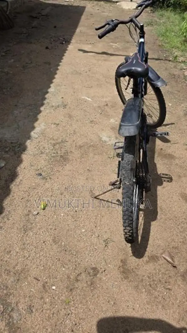 Bicycle