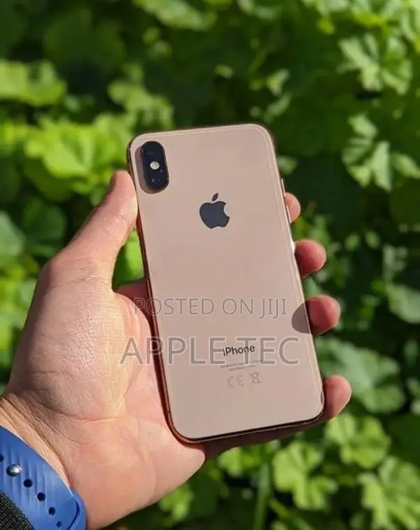 Apple iPhone XS 64GB (Used)