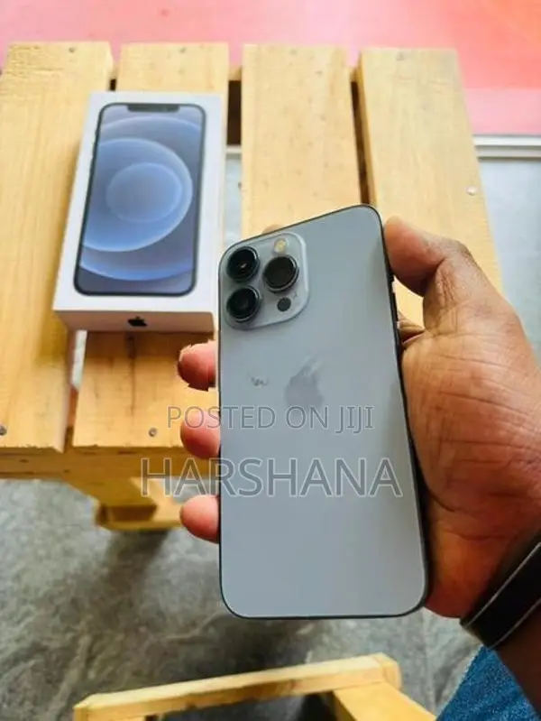Apple iPhone 13 Pro 256GB (Used)