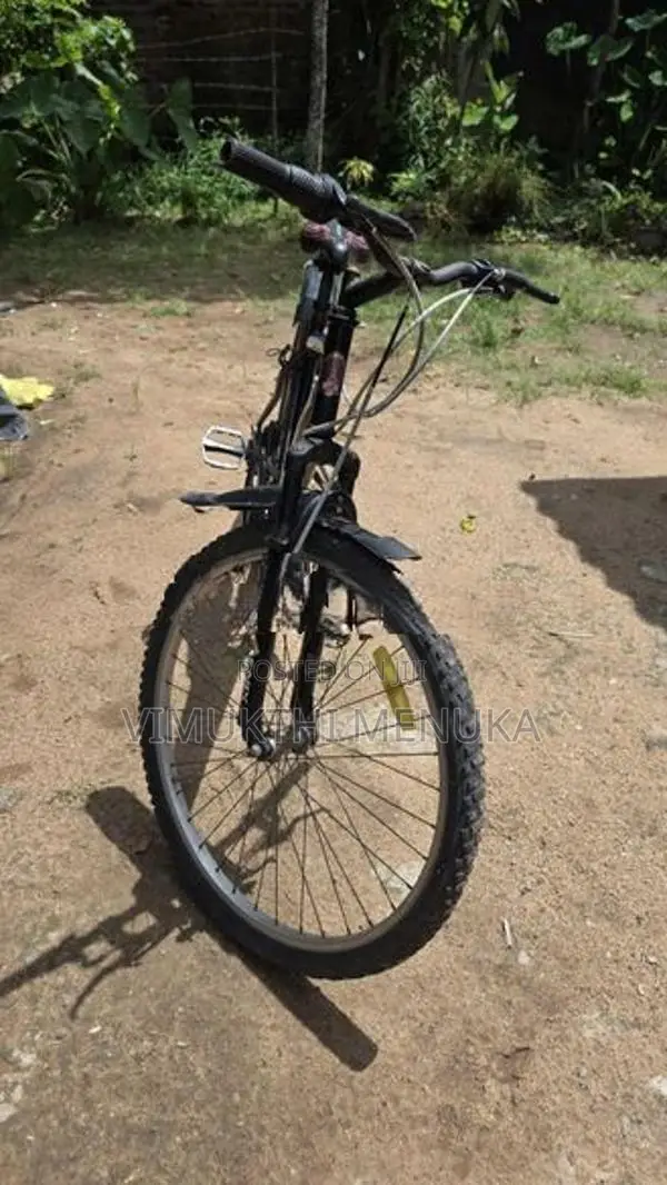 Bicycle