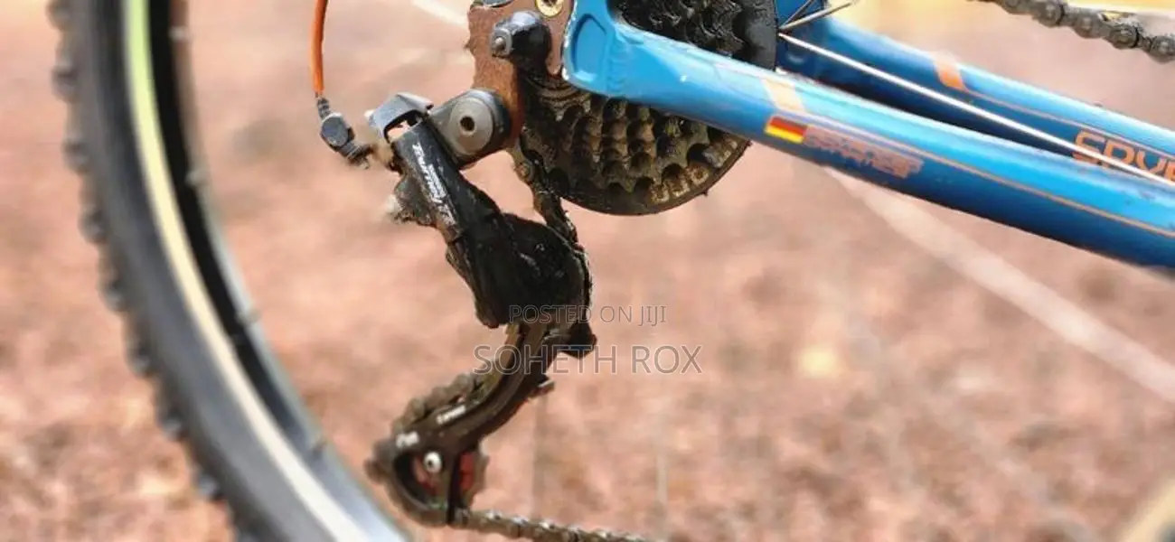 Silverback mountain bike (German)