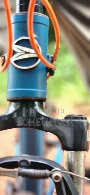 Silverback mountain bike (German)