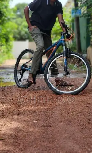 Silverback mountain bike (German)