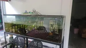 Fish Tank