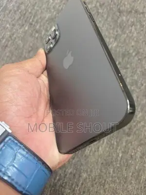 Apple iPhone 12 Pro 256GB (Used)