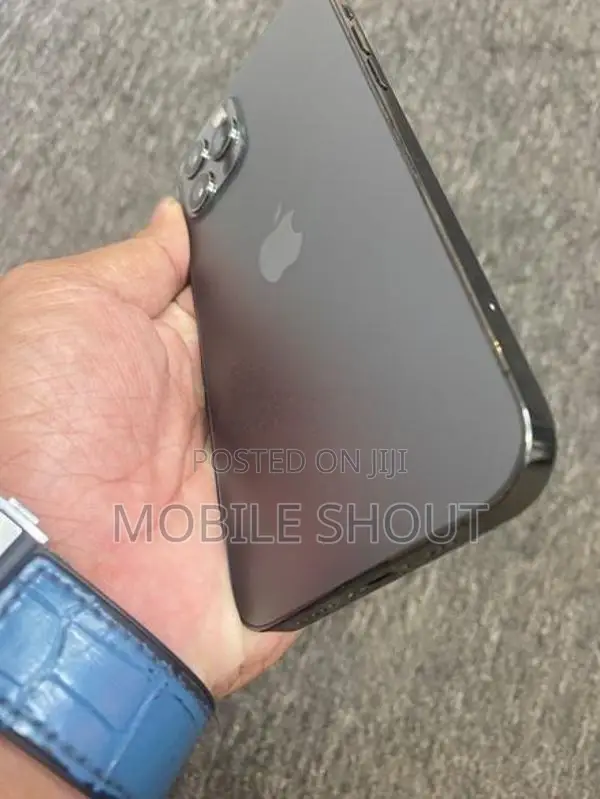 Apple iPhone 12 Pro 256GB (Used)