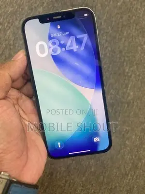 Apple iPhone 12 Pro 256GB (Used)