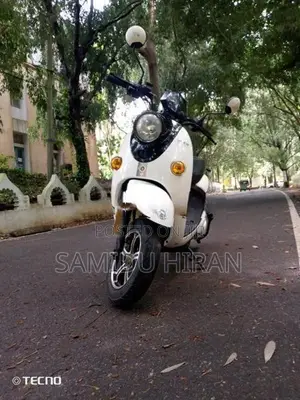 NWOW TK 10 2025