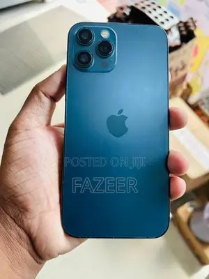 Apple iPhone 12 Pro Max (Used)
