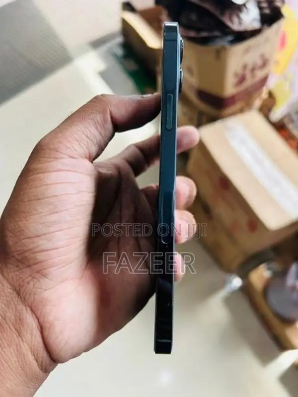 Apple iPhone 12 Pro Max (Used)