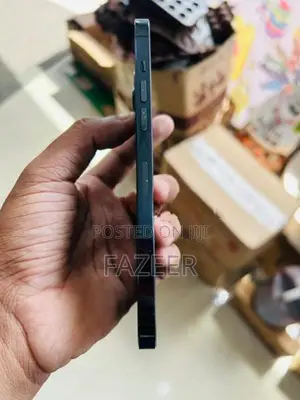 Apple iPhone 12 Pro Max (Used)
