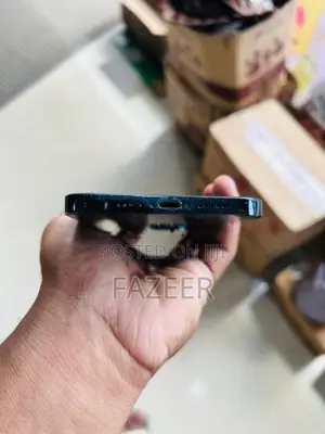 Apple iPhone 12 Pro Max (Used)