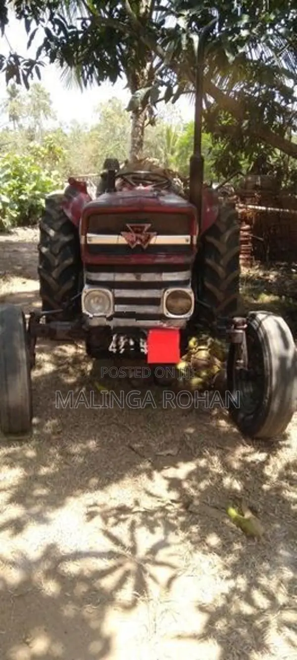 Massey Ferguson 135 DL 1982
