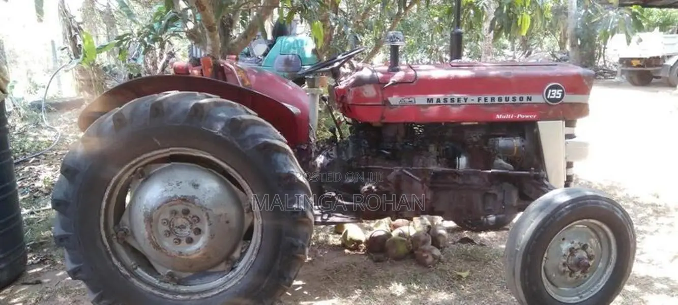 Massey Ferguson 135 DL 1982