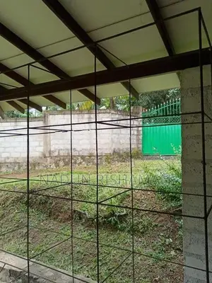 Birds Cage