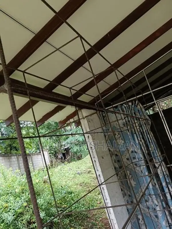 Birds Cage