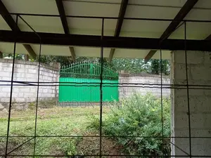 Birds Cage