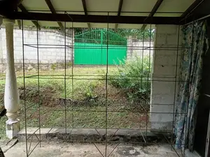 Birds Cage