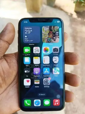Apple iPhone XS 256GB (Used)