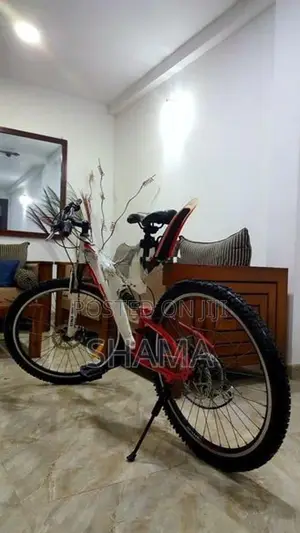 Mountain Bicycle