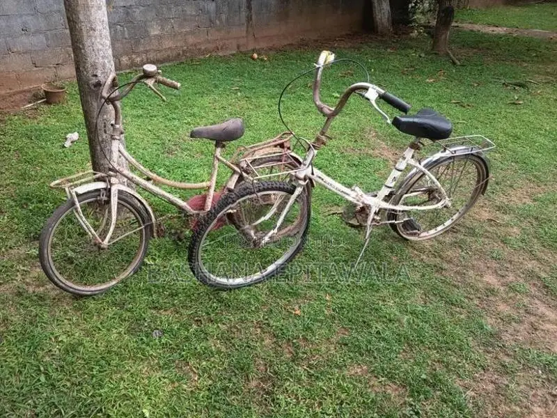 Two bicycle