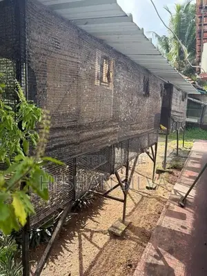 Cage with Birds