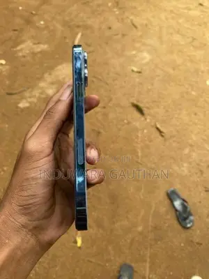 Apple iPhone 13 Pro Max (Used)