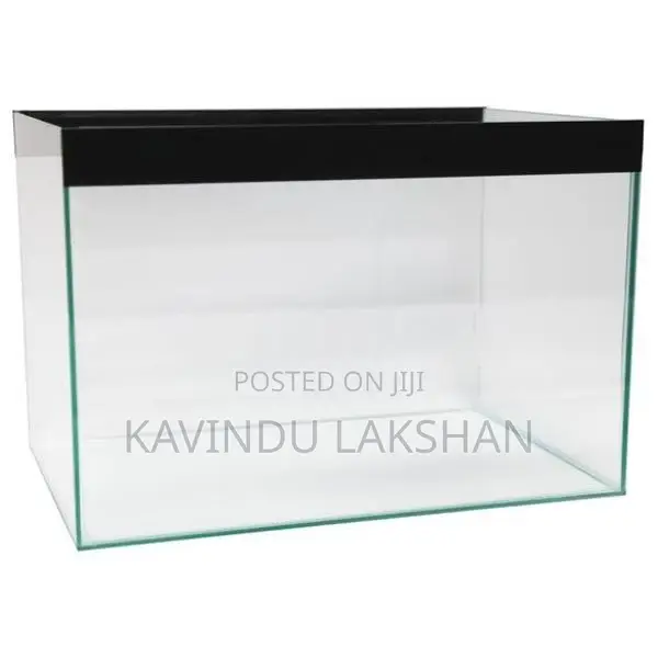 Fish Tank