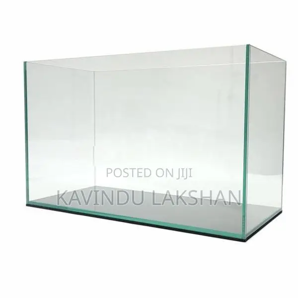 Fish Tank